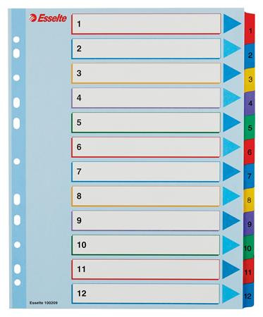 Regiszter, laminált karton, A4 Maxi, 1-12, újraírható, ESSELTE